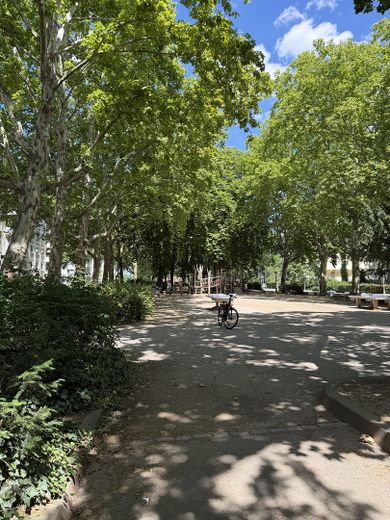 Provisionsfrei: 2-Zi-Wohnung in Rheinnähe mit modernisiertem Bad & Perspektive zur Eigennutzung – Grünfläche/Spielplatz