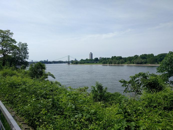 Rhein