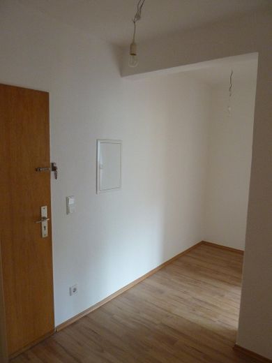 Großzügige Einraumwohnung mit Küche, Diele und Bad im Topzustand – Diele, Platz für Schrank