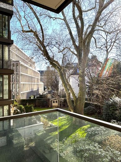 View into the garden