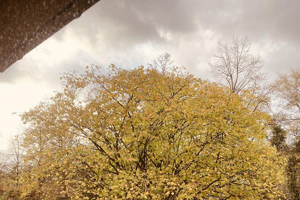 1 A - POSIZIONE - Possibilità di nuova costruzione - in una casa solida e indipendente con giardino esposto a sud-ovest ad Amburgo-Nord