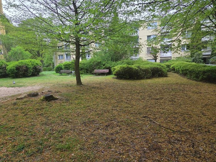 Attraktive Erdgeschosswohnung mit 16 m² Sonnenterrasse – provisionsfrei vom Eigentümer – Foto 15