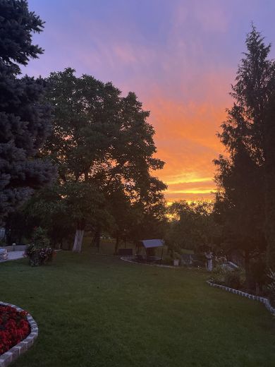 Sommerabend im Garten