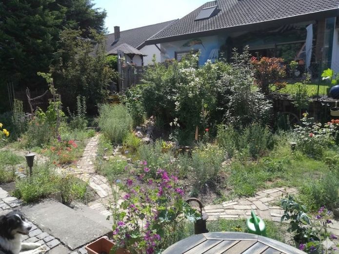 Energieeffizientes Einfamilienhaus - biologisch saniert und einzugsfertig – Garten mit Teich