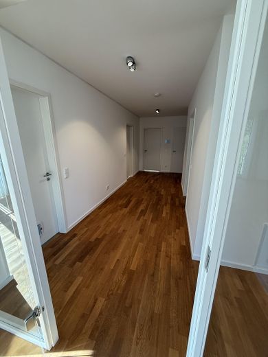 Exklusives Penthouse in der Wasserstadt Hannover-Limmer mit Blick ins Grüne / Keine Maklergebühren – Flur