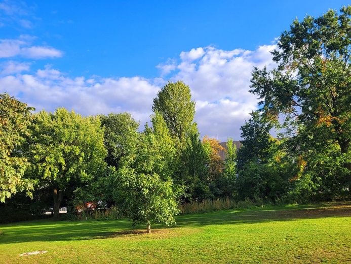 Birinci sınıf konum - hemen taşınmaya hazır, aydınlık 3 odalı daire Prenzlauer Berg'de, ayrı mutfak, Gleimviertel – Falkplatzpark / Mauerpark