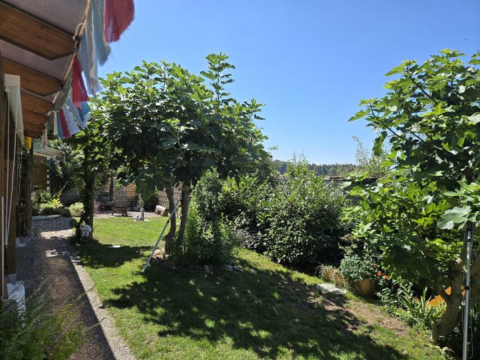 Einfamilienhaus in traumhafter Lage mit Panoramablick auf Bodensee und Schweizer Berglandschaft – Terrasse und Garten 5