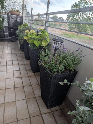 4-Zimmer-Wohnung mit Balkon und Garage in Trier-Kürenz – Südwestbalkon