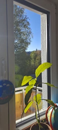 Zukunftssicheres Wohnen im Allgäu: Kernsaniertes energieeffizientes EFH - Einziehen & Wohlfühlen – Hauchenbergblick