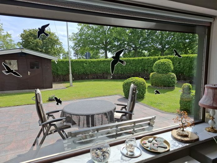 Haus/Ferienhaus an der Ostsee  200m zum Strand – Blick aus dem Wohnzimmer
