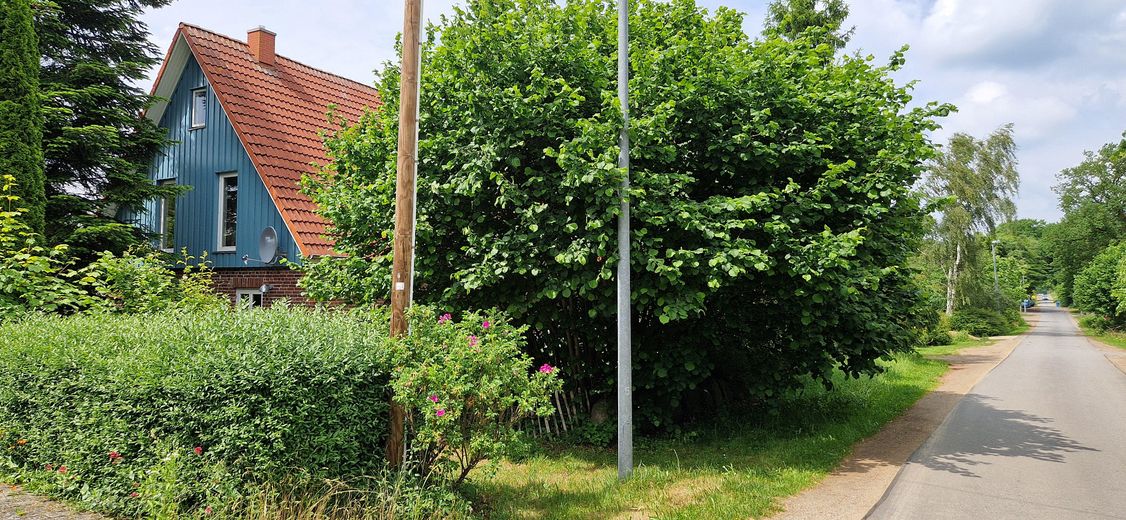 Hausansicht Süden