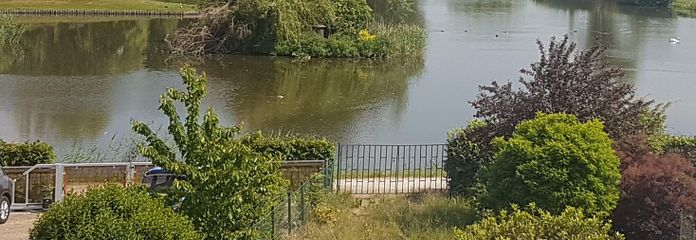 Blick auf den Schwanenteich