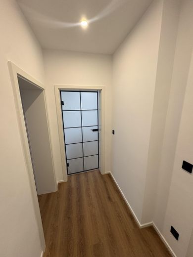 Primera ocupación de un apartamento de 2 habitaciones tras una reforma de alta calidad – Flur