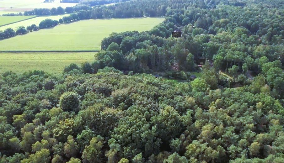 #PRECIO INIGUALABLE#TERRENO FORESTAL GIGANTESCO#REGIÓN DE HEIDE+3 CASAS GRATIS#VÉASE EL TEXTO – UMGEBUNG HIER