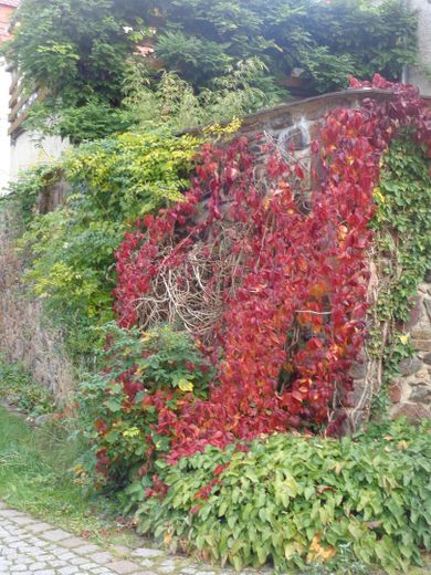 Casa a schiera tranquilla con appartamento indipendente, costruita circa nel 2000 – Foto 30
