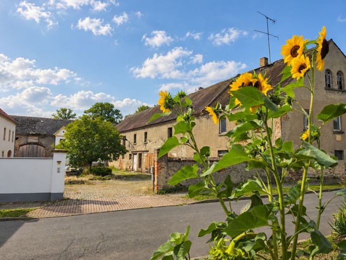 Idillio di tenuta: 438 m², 1 bifamiliare completamente ristrutturata e altro ancora. Vicino a gru e castori, presso la riserva naturale – Foto 1