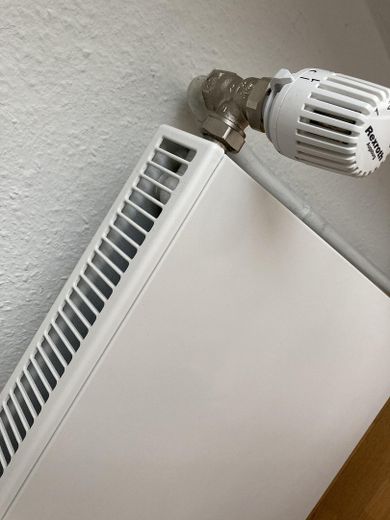 Große Altbau-Villa in Augsburg Göggingen - Exklusives Haus mit Garten – Neue Heizkörper