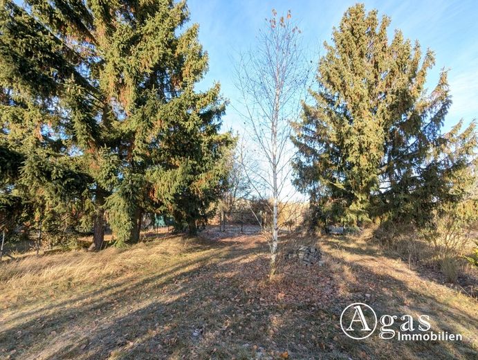 Großes Grundstück (zukünftiges Bauland) in Velten – Grundstück