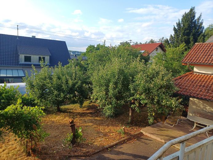 Charmantes Einfamilienhaus mit großem Garten in Osterburken – viel Platz für die ganze Familie – Foto 6