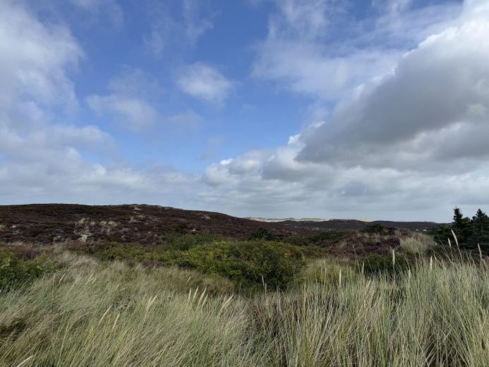 unmittelbare Umgebung