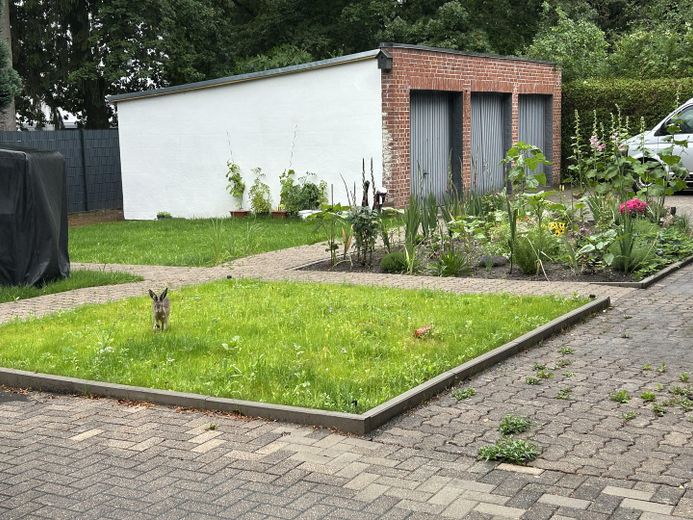 EG-Wohnung im Rosenhof – Garten (ca. 18m²)
