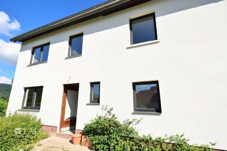 Machen Sie was daraus! EFH wartet auf "Renovierung" – Außenansicht - (KI generiert)