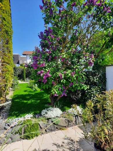 Helles, freistehendes Einfamilienhaus mit großem Garten in Bad Nauheim – Nieder-Mörlen – Garten, Ostseite