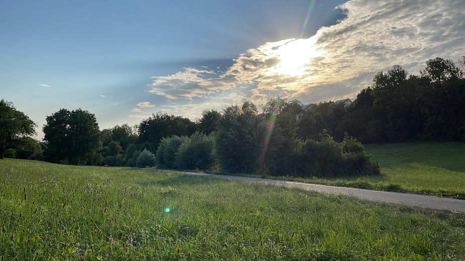 Natur um die Wohnung
