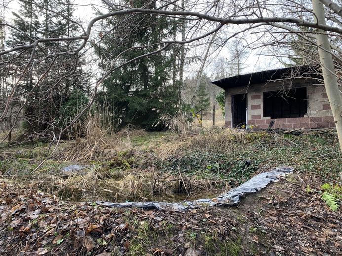 gewerbliches Grundstückspaket - 38222m² - am Bhf./Bahngleisen – 240105_Lengenfeld_GS_1263_24_25_26_046