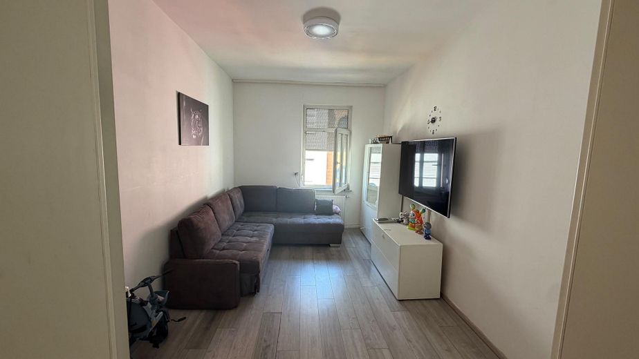 ++gemütliche Wohnung in der Neckarstadt++ – Wohnzimmer