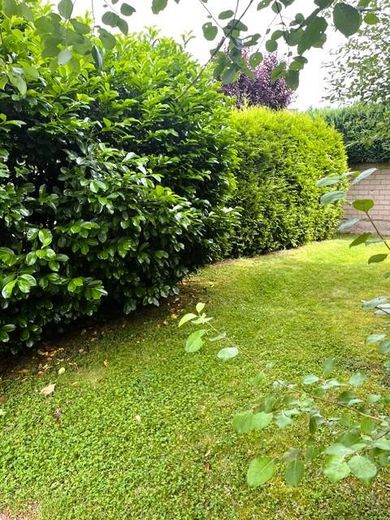 Hochwertige helle 3-Zi.-Whg., Einbauküche u. Balkon, in modernem 4-Fam.-Haus, Bestwohnlage Groovnähe – Garten im Frühling