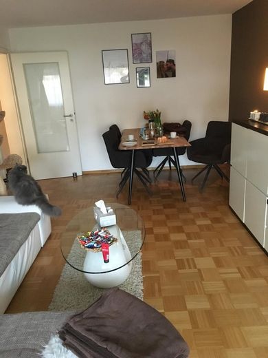 Wohnung 2,5 Zimmer – Wohnzimmer-Blick v. Balkon