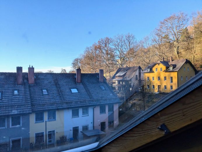 Blick Dachfenster 2