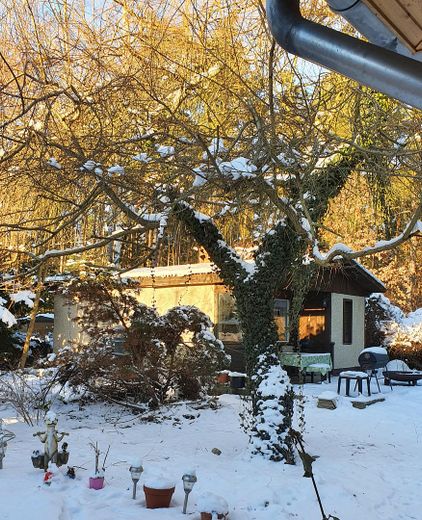 Ruhiges Wald-Idyll in Stolzenhagen ca.. 400 qm Bauland von privat – Foto 5