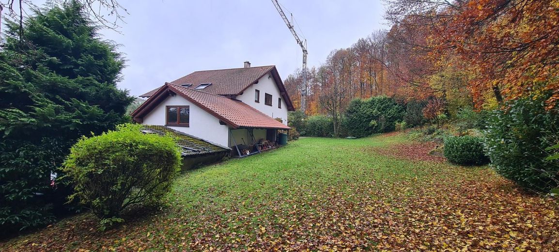 Wiese hinterm Haus