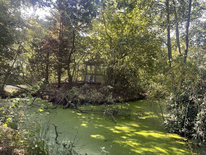 Pavillon / Teich