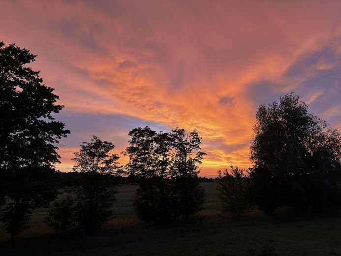 Original Abendstimmung