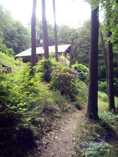Haus vom Weg aus