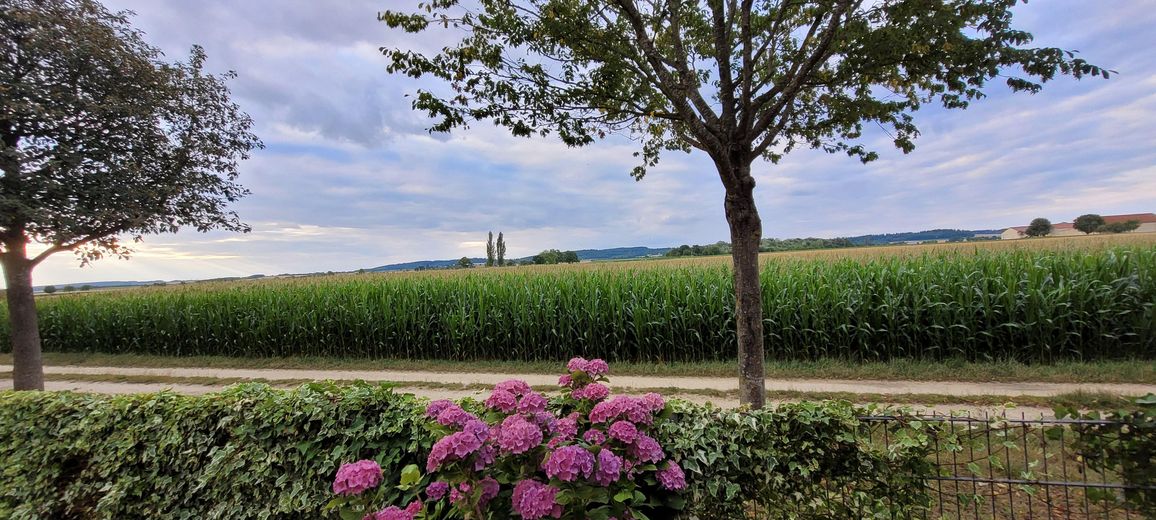 Casa da sogno in posizione eccellente a Gaimersheim – Blick aufs Feld