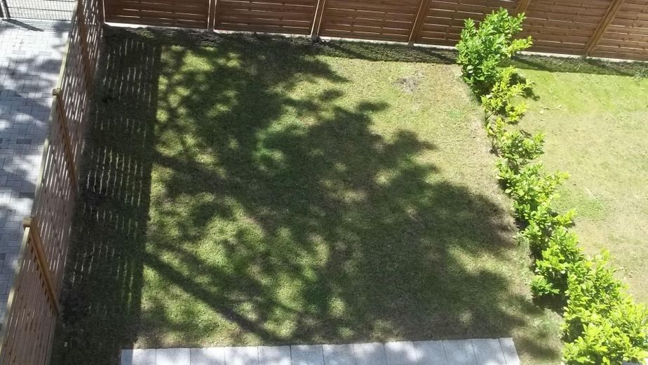Blick in den Garten