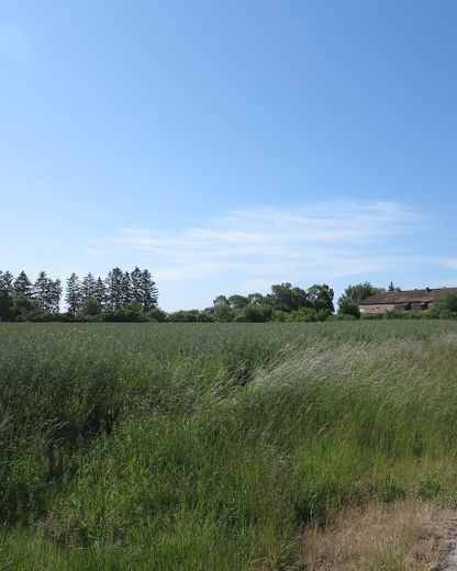eines der letzten, erhaltenen SCHEUNENGUTSHÄUSER (mit 4-6 ha. Naturgrundstück) – freier Blick von/zum Gutshaus