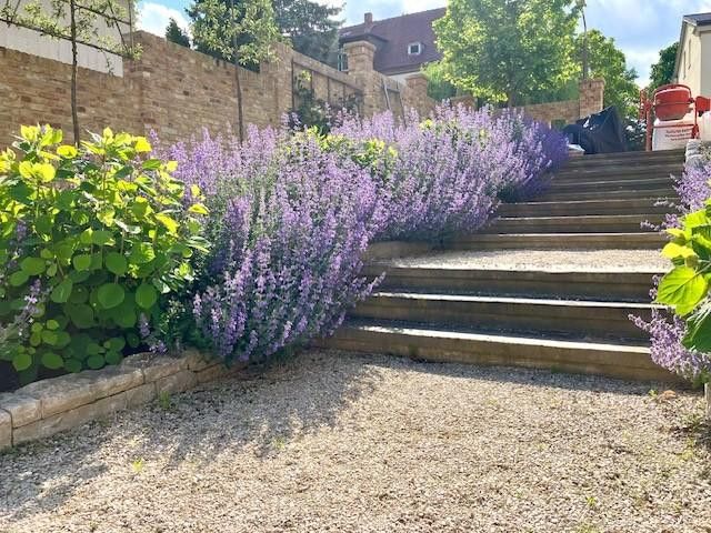 Treppe Aufgang