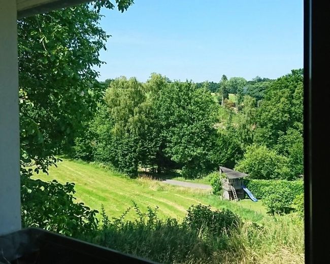 Ausblick Küchenfenster