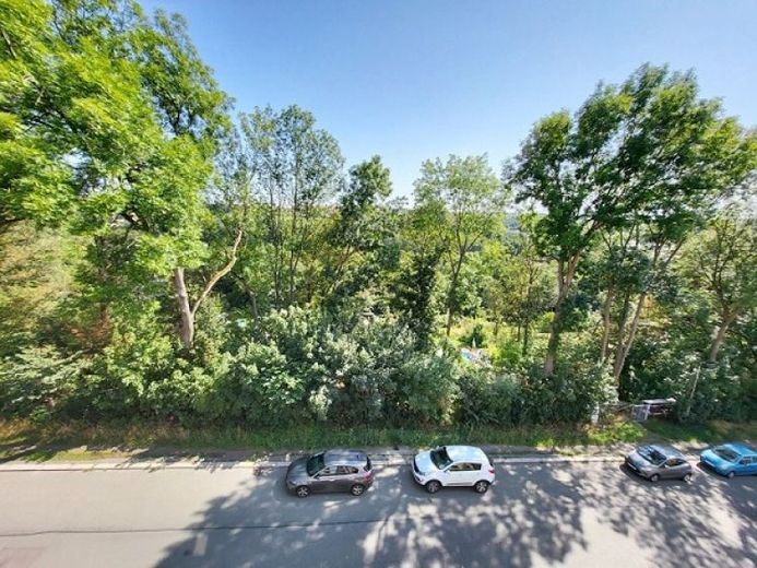 Schöne helle 3-Raum-Wohnung in Randlage – Foto 1