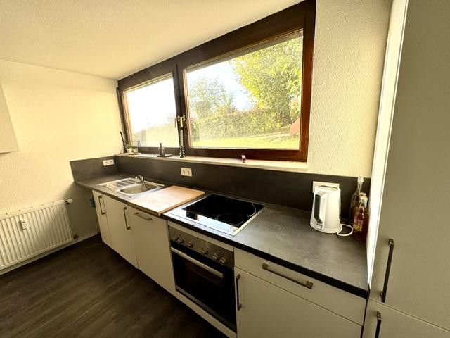 Zu vermieten: schöne, renovierte 3-Zimmer-Wohnung mit herrlicher Aussicht – Einbauküche
