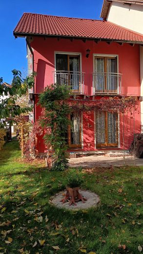 Rückseite mit Terrasse