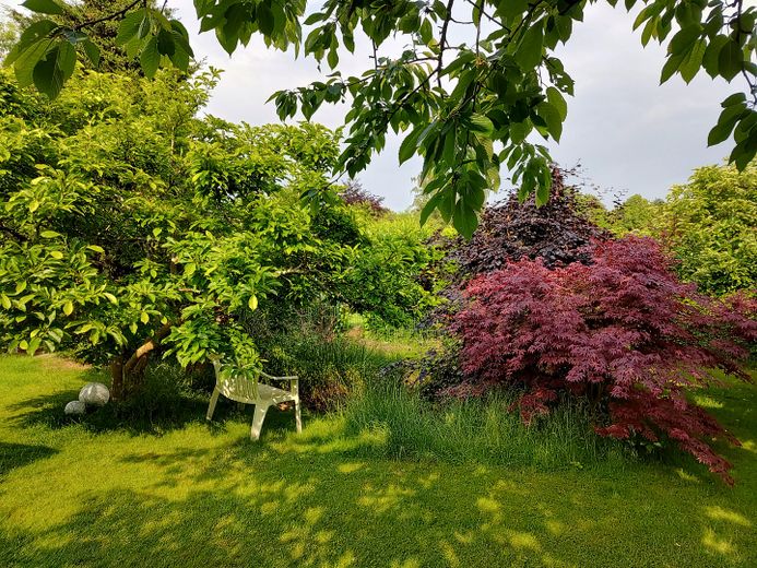 Einfamilienhaus mit großem Garten in Hamburg Iserbrook – Foto 3