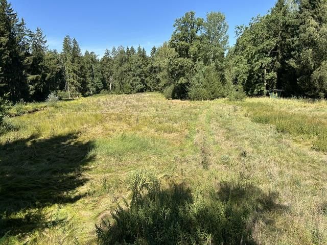 Paraíso rural/ bosque-pradera-agua – Wiese mit Wald