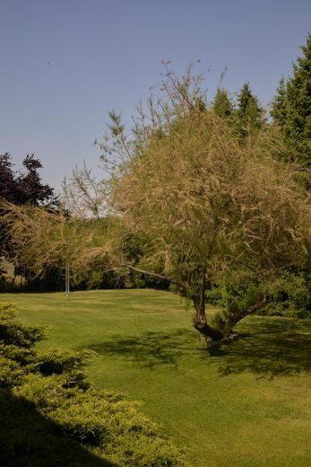 Großzügiges Einfamilienhaus auf traumhaft schönem Grundstück – Garten