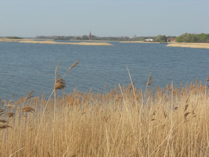 Bodden
